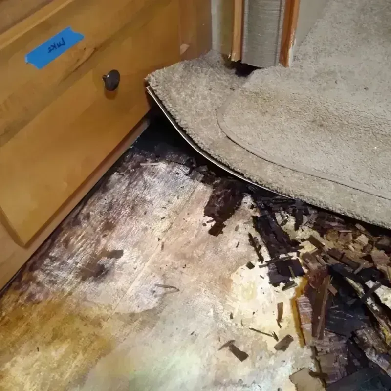 Wood Floor Water Damage in Lake of the Woods, AZ